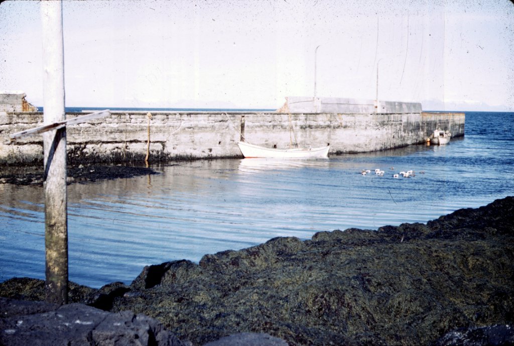 Bátur í höfn