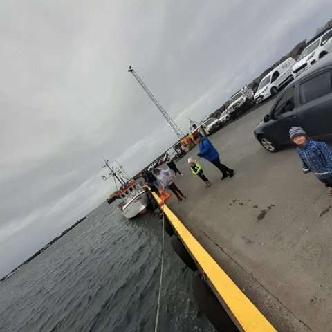 Dorgveiði