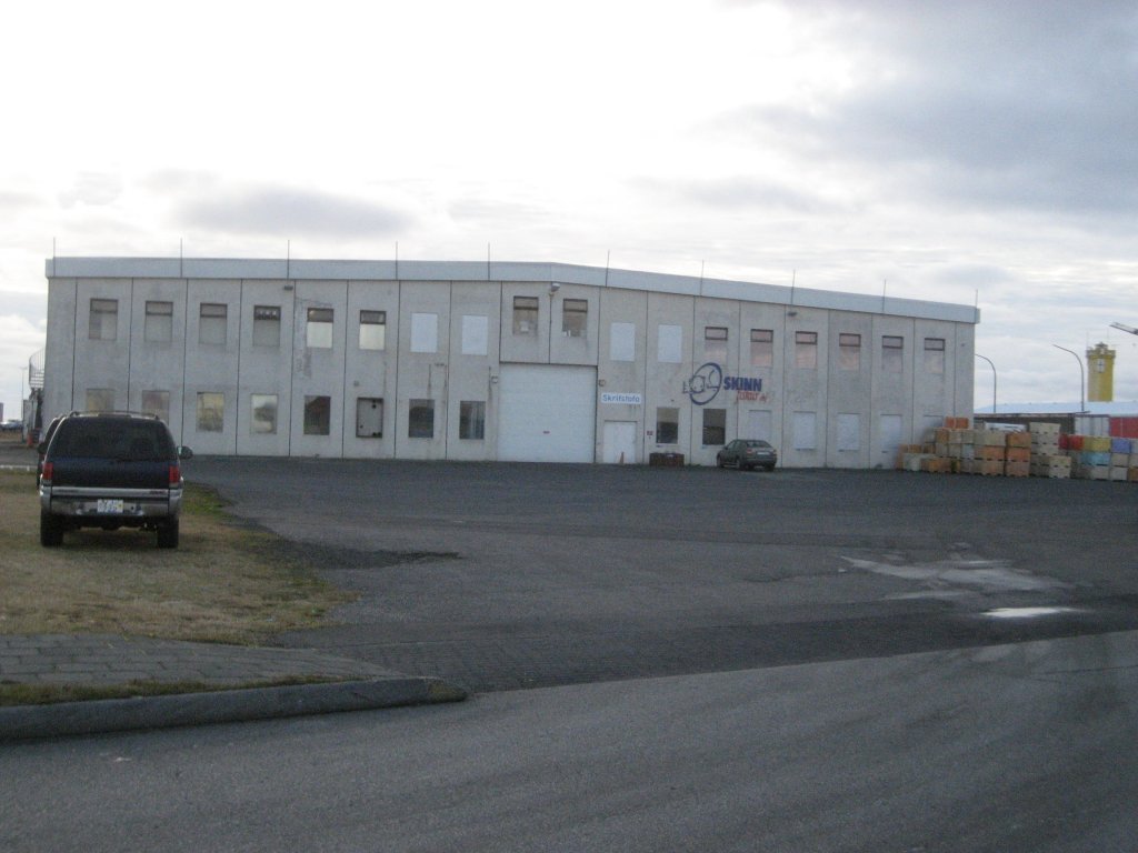 Skinnfiskur