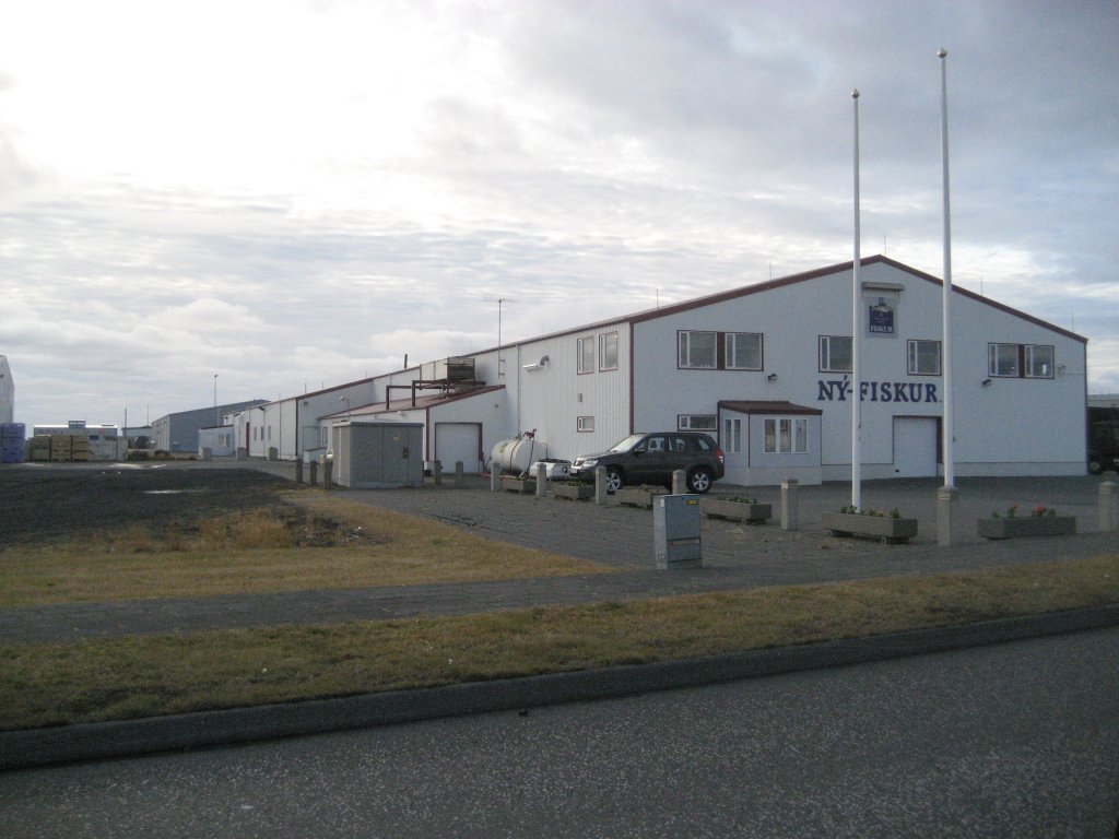 Ný-Fiskur