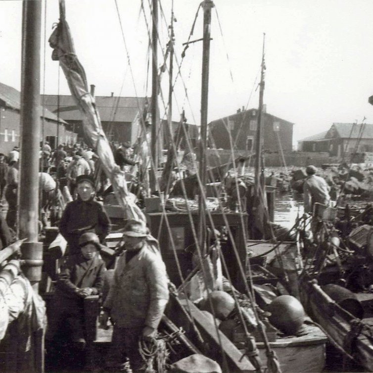 _scan10066-gomul-lagfaerd