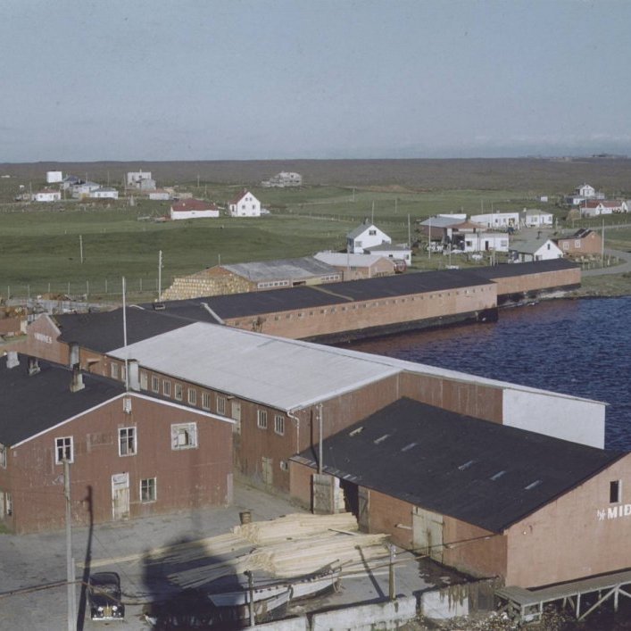 _scan10076-midnes-1953