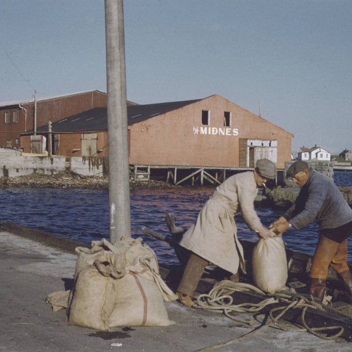 _scan10078-afgreida-salt