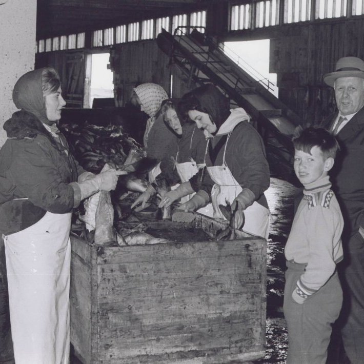 _scan10083-gudmundur-a-rafnkelstodum