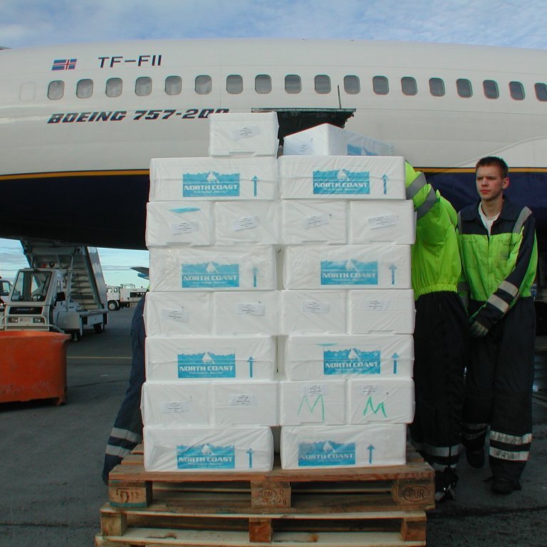 dscn7019-fiskur-i-flug