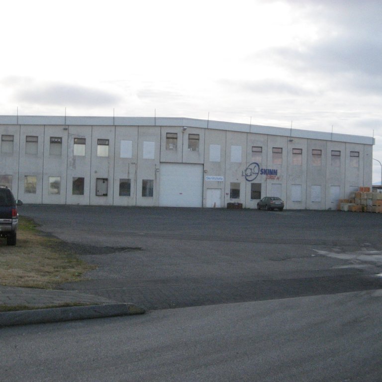 img_1851-skinnfiskur