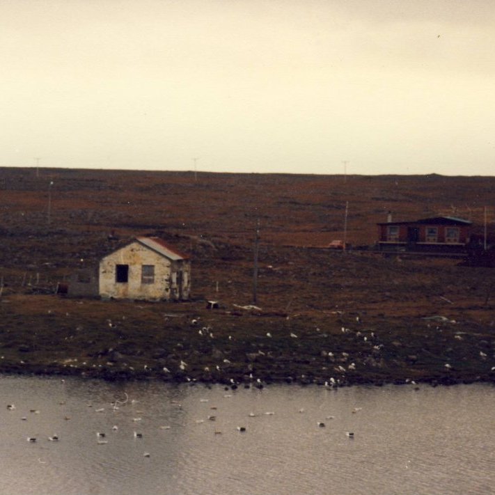 scan10205-tjorn-skoli