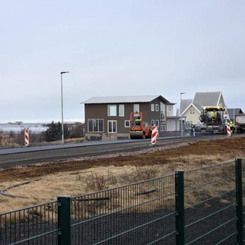 Vetrarmalbikun á Stafnesvegi 