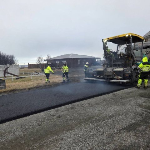 Vetrarmalbikun á Stafnesvegi 