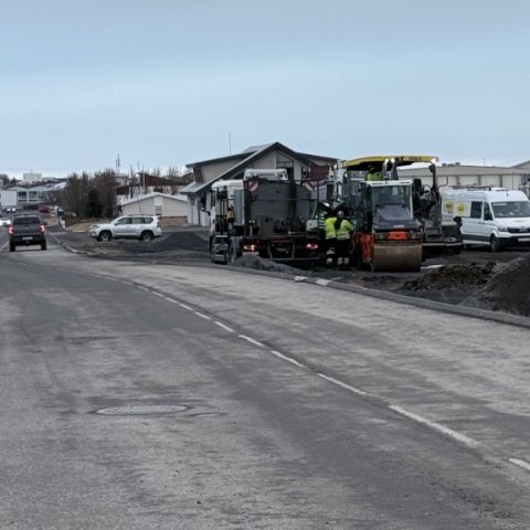 Vetrarmalbikun á Stafnesvegi 