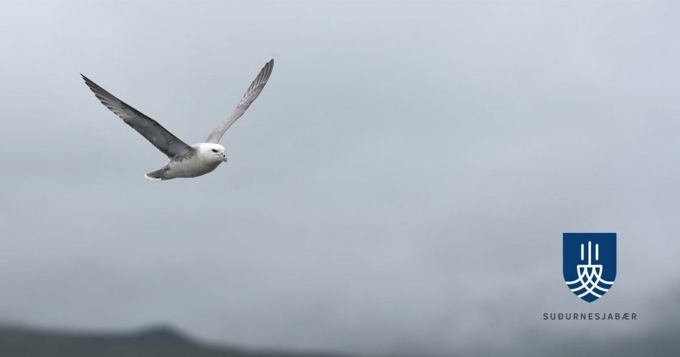 Suðurnesjabær auglýsir laust til umsóknar nýtt starf aðstoðarmanns byggingarfulltrúa á skipulags- og&hellip;
