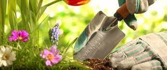 Við höfum opnað fyrir umsóknir í vinnuskólann fyrir sumarið 2022.