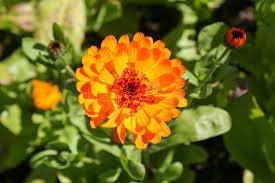 Spennandi sumarstörf