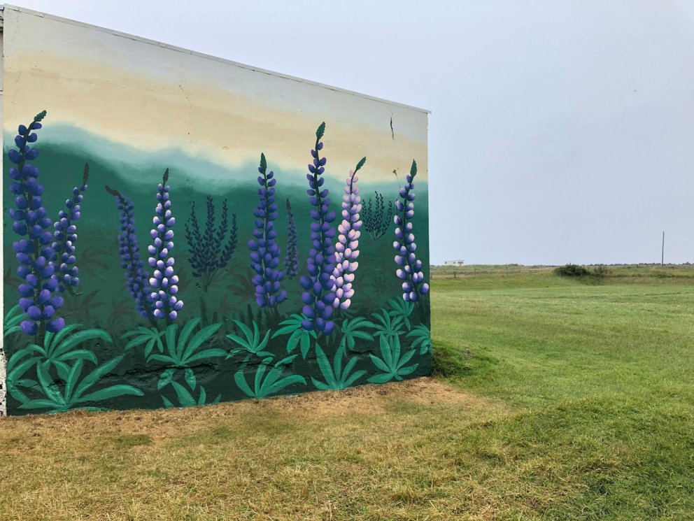 Við óskum eftir húsveggjum til að skreyta