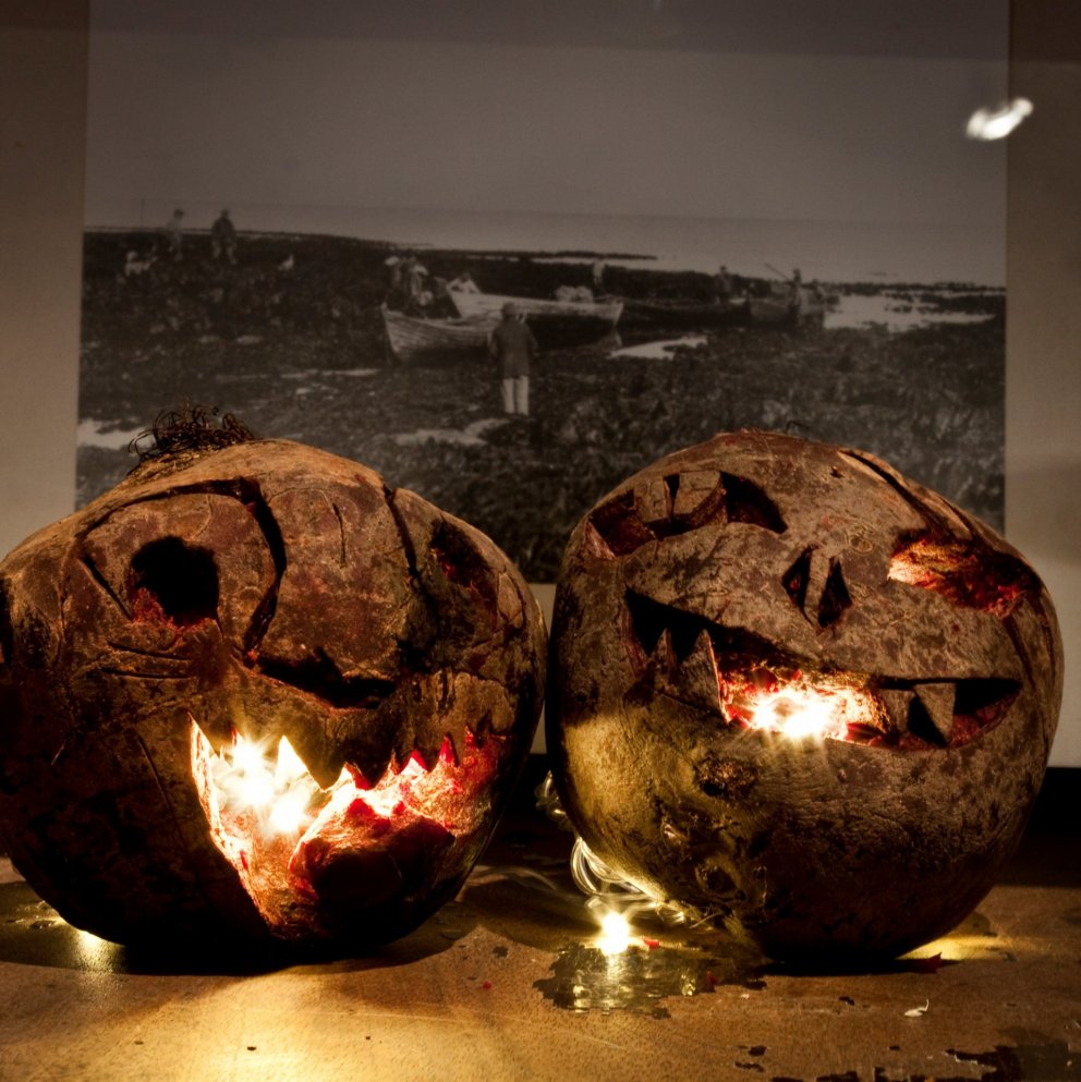 Hrekkjavaka í Suðurnesjabæ