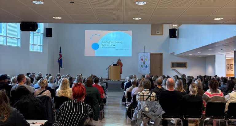 Sameiginlegur starfsdagur grunnskóla – Leiðsagnarnám