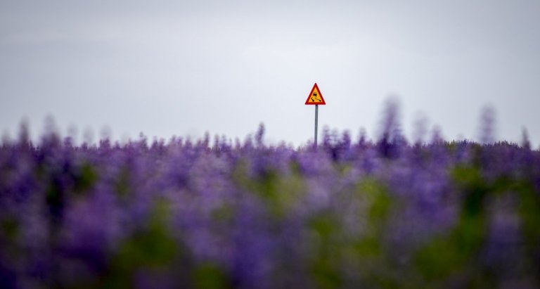 Vegna ábendinga um olíu- og bensínlykt úr niðurföllum